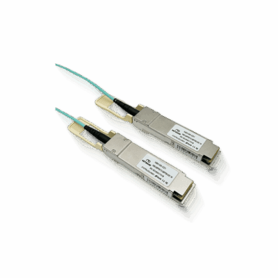 SFPMODULE-NBA10X-CD1/100G QSFP28 to QSFP28 AOC 1M