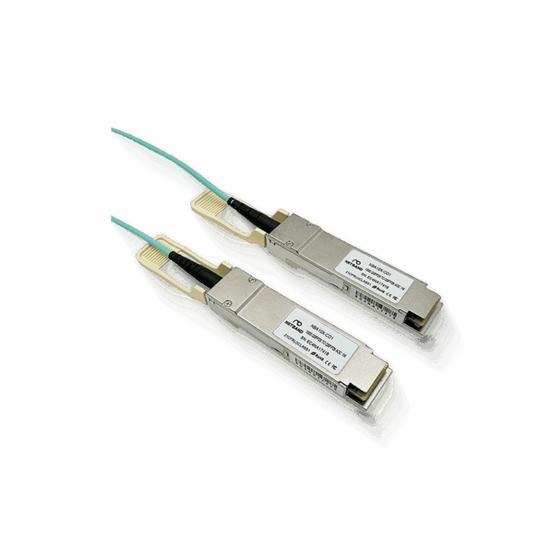 SFPMODULE-NBA10X-CD1/100G QSFP28 to QSFP28 AOC 1M