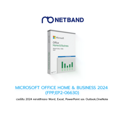 MICROSOFT OFFICE HOME & BUSINESS 2024 (FPP,EP2-06630)