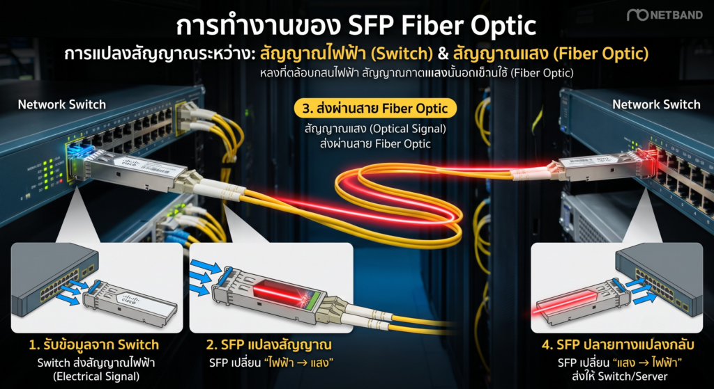 อินโฟกราฟิกภาพจริงแสดงขั้นตอนการทำงานของ SFP Module ในการแปลงสัญญาณไฟฟ้าระหว่าง Network Switch และสัญญาณแสงผ่านสาย Fiber Optic ทั้ง 4 ขั้นตอน