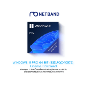 WINDOWS 11 PRO 64 BIT (ESD,FQC-10572) License Download