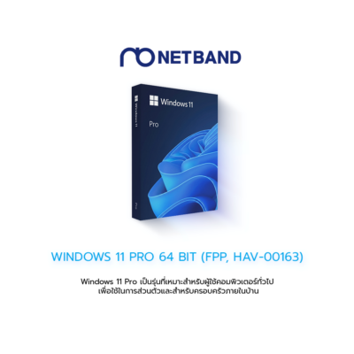 WINDOWS 11 PRO 64 BIT (FPP, HAV-00163)