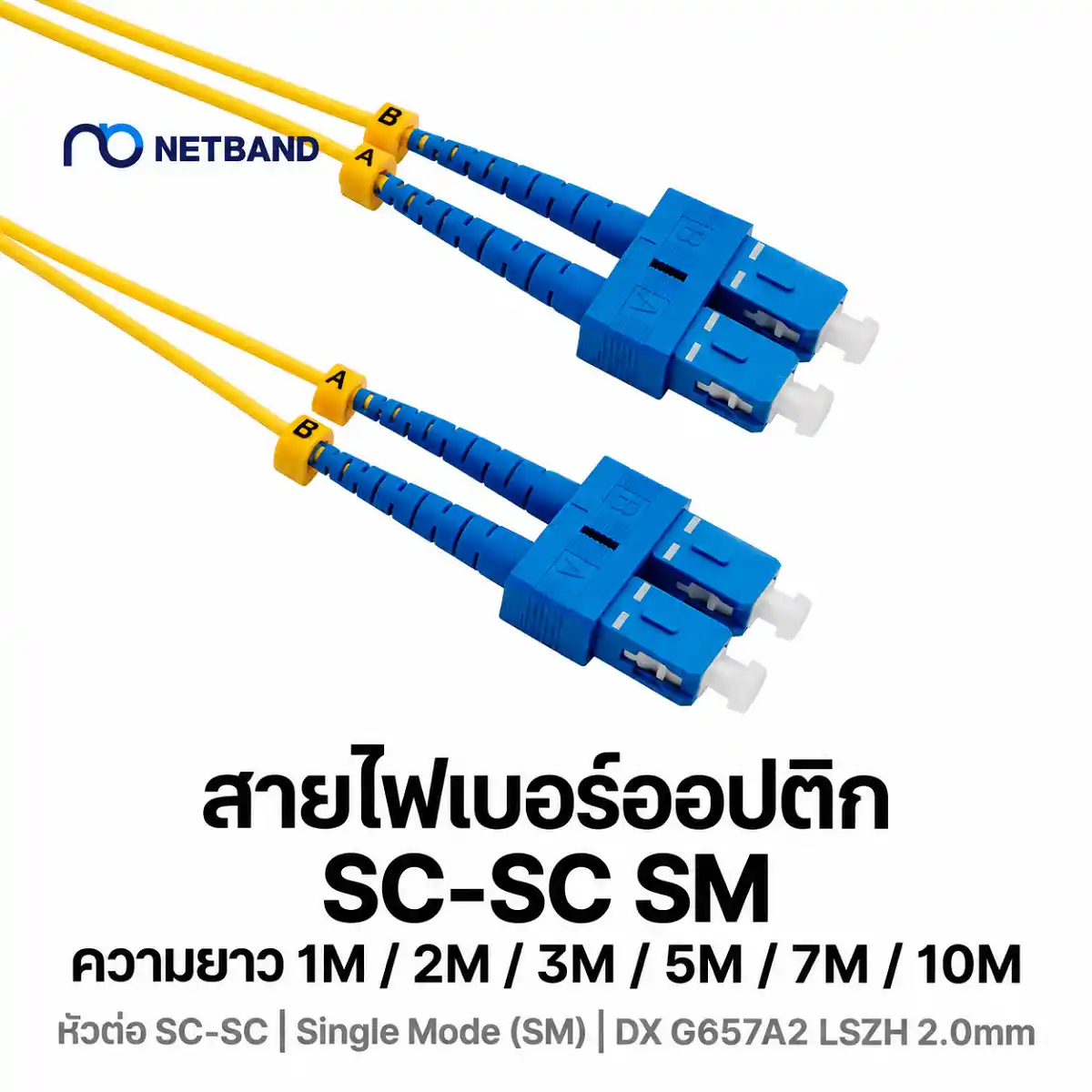 โซลูชัน Fiber Optic Cabling - Fiber Patch Cord สายแพทช์คอร์ด SC-SC Single Mode รองรับความเร็วสูงระดับมาตรฐานองค์กร